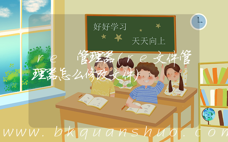 re 管理器(re文件管理器怎么修改文件)